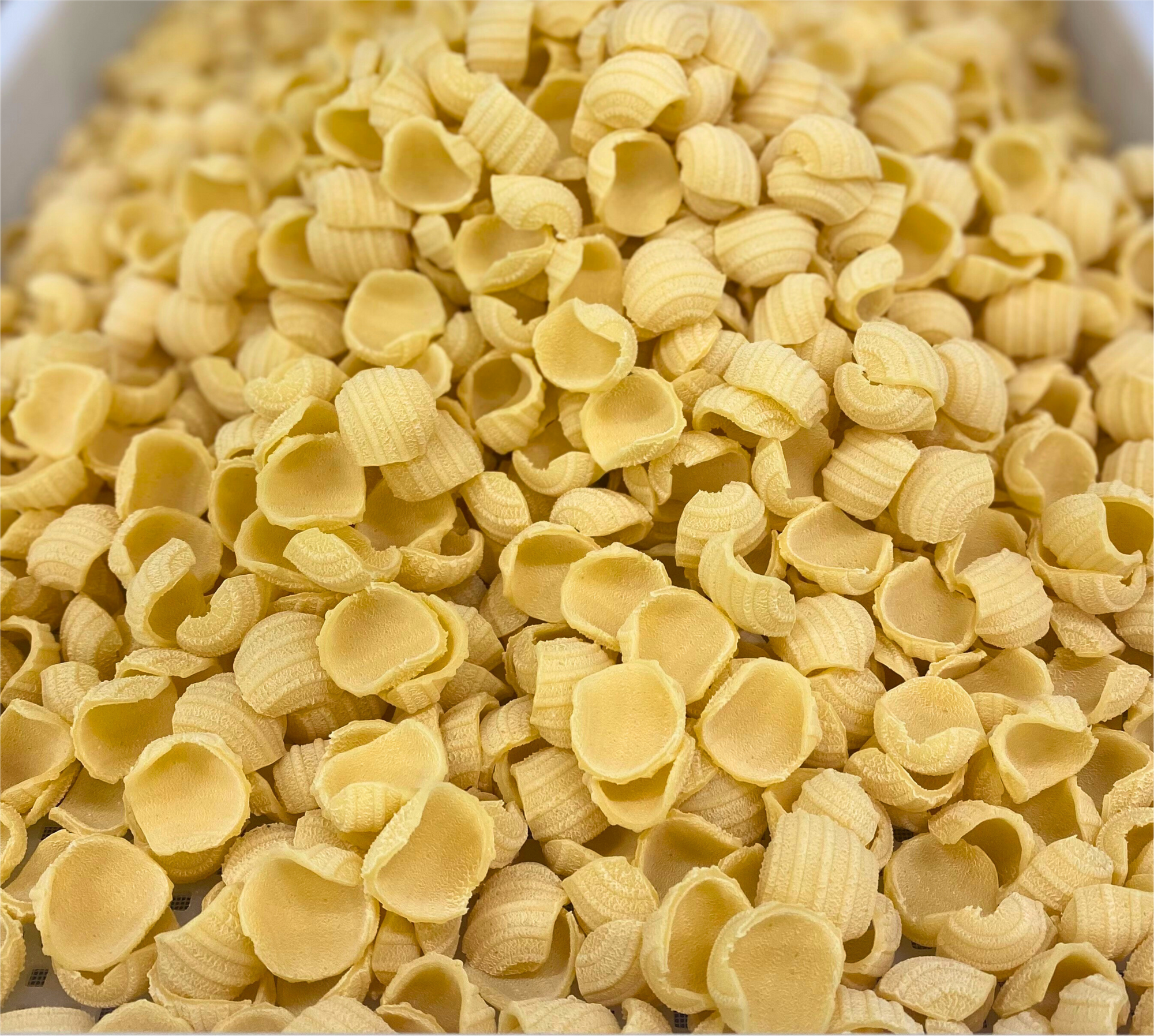 ORECCHIETTE 1 kg.